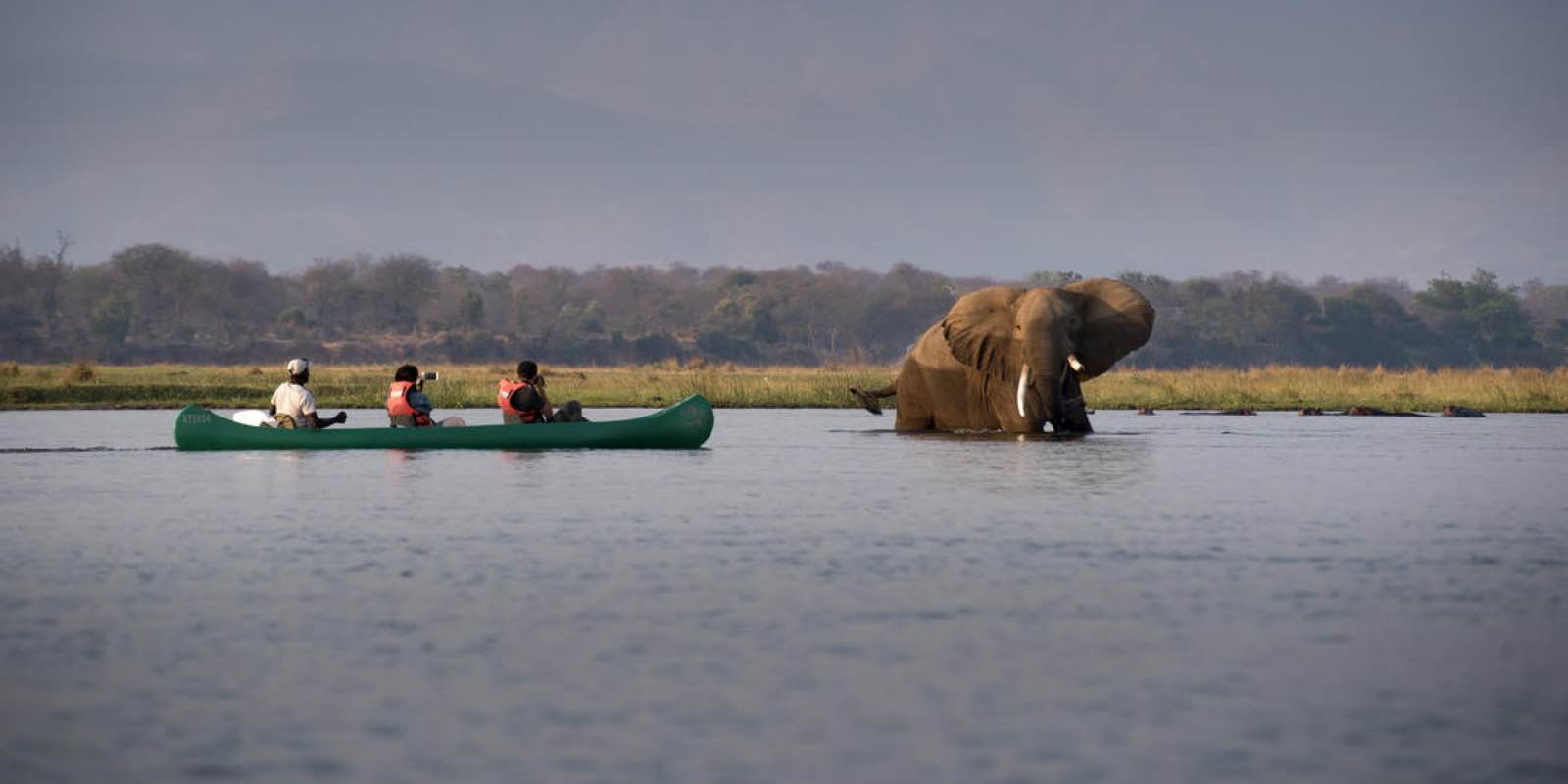 Canoe