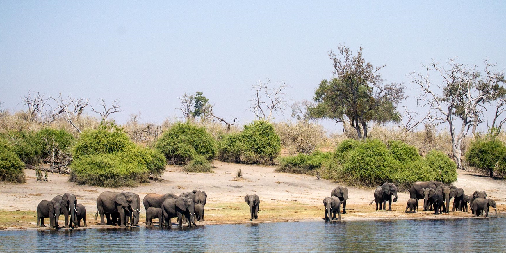 Chobe Game Park