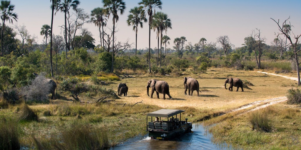 Okavango Delta