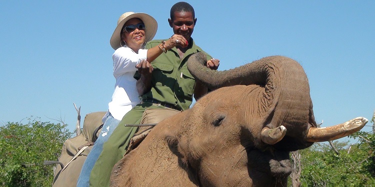 Elephant