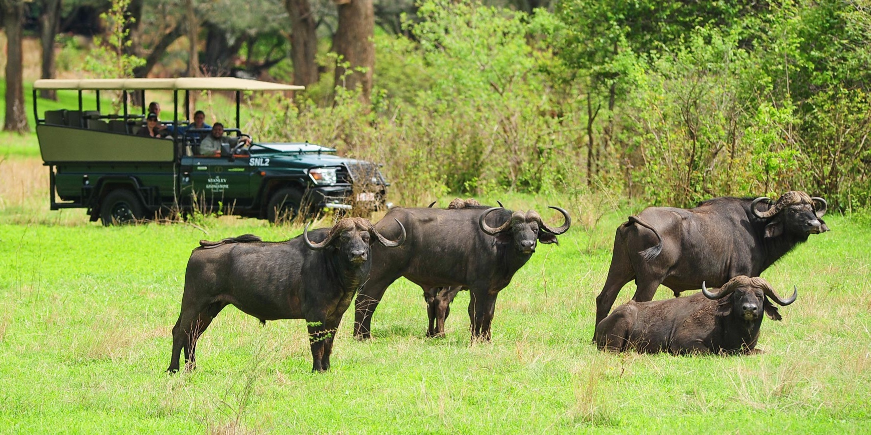 Game Drive